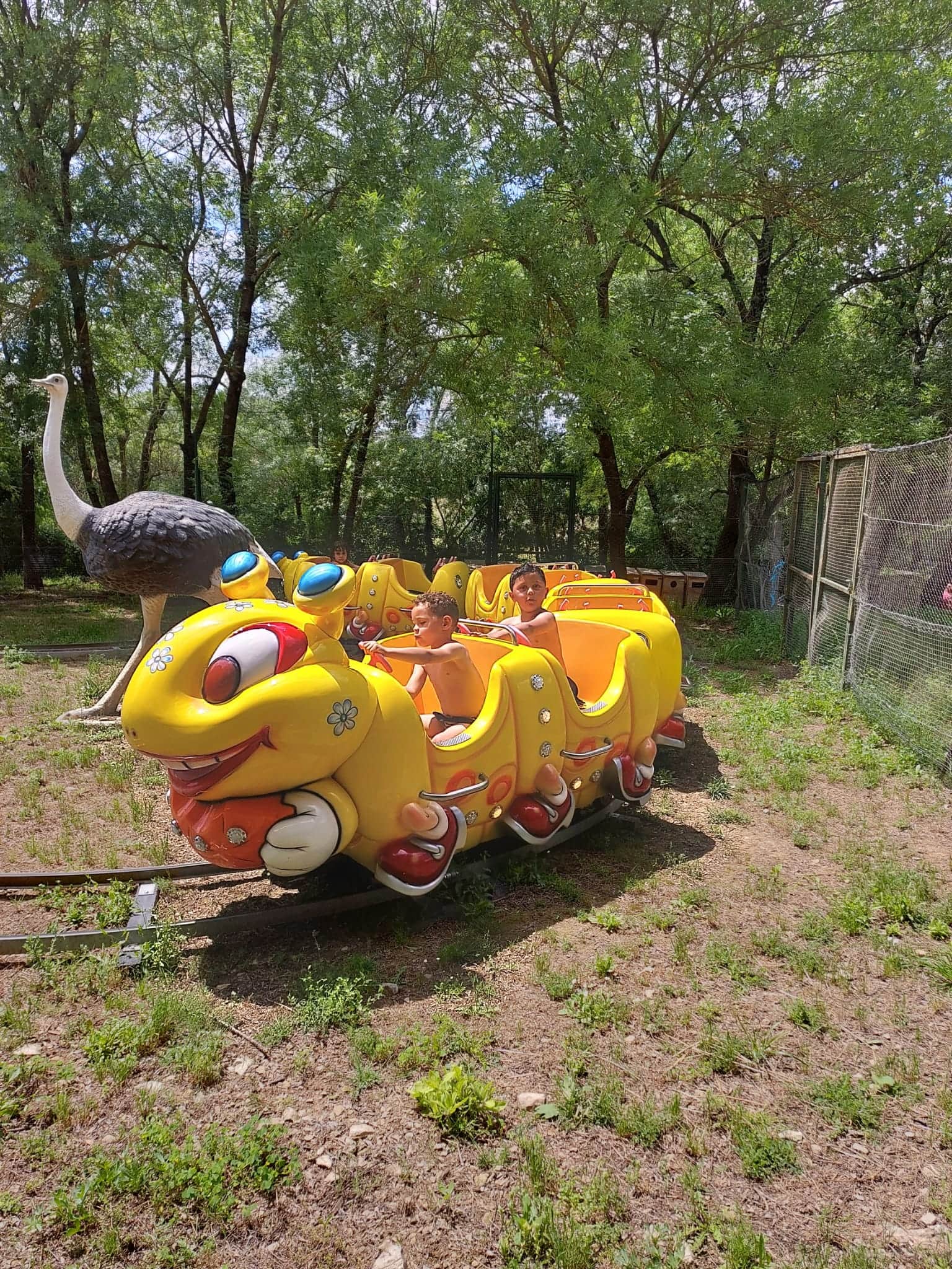gigoteur